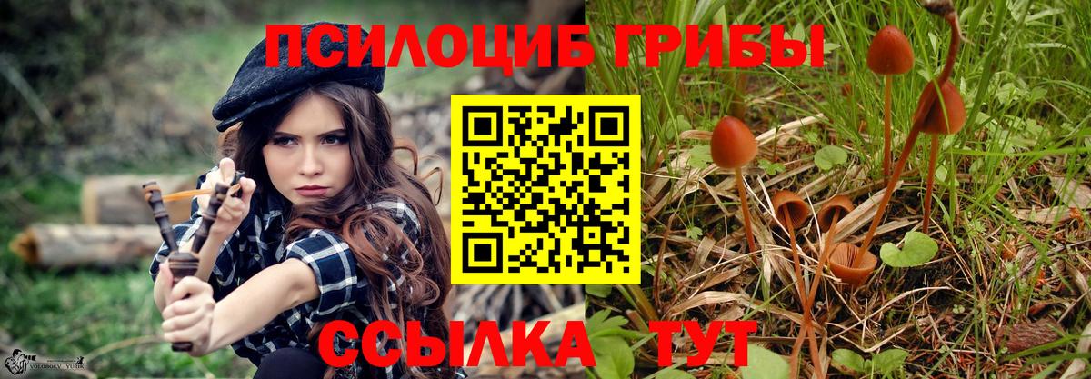 Луховицы  Галлюциногенные грибы MAGIC MUSHROOMS  Галлюциногенные грибы Cubensis  Вход с VPN 